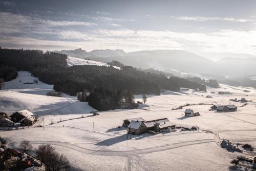 Appenzeller Huus Löwen