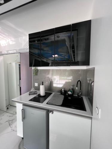 Kitchen, Studio Prestige avec terrasse, ile des pecheurs, Vue port in Agde