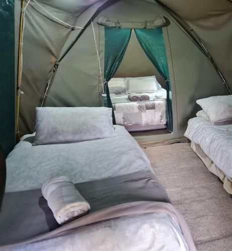 Exterior view of Karoo Gariep Tented Camp