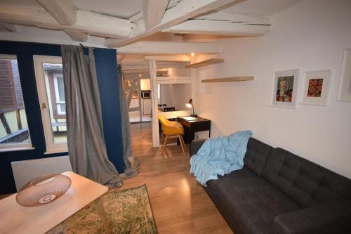 Le Studio du Quai des Pêcheurs - Charmant duplex sur les quais, Strasburg (zdjęcie 6)