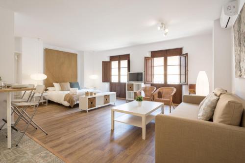 Santiago Premium Loft II, Малага
