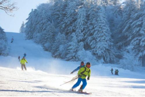 Le Coeur des Vosges - à proximité de La Bresse