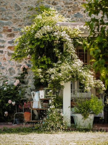 Kert, Le Molina B&B in Massa E Cozzile