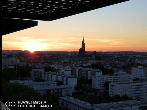 Bassin d'Austerlitz - Studio avec terrasse dans l'une des tours Black Swans, Strasbourg (photo 7)