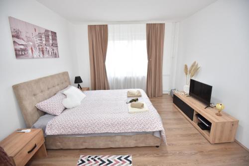 Apartman 1, Kragujevac
