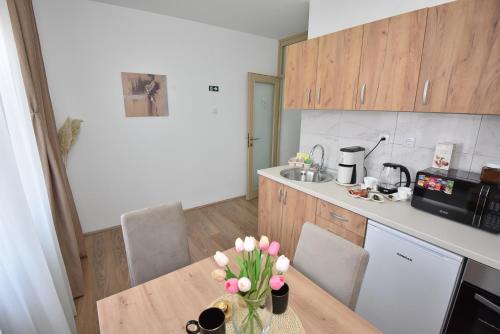 Oprema, Apartman 1 in Dragoslava Srejovica