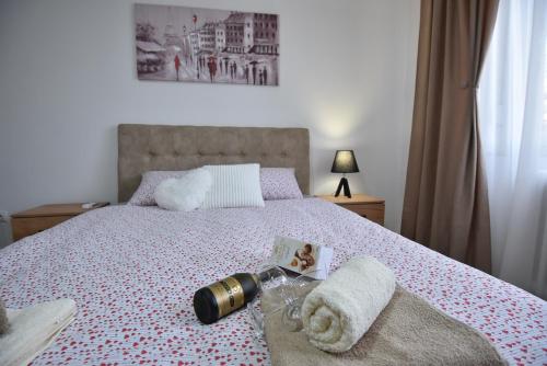 Apartman 1, Kragujevac (fotografie 7)