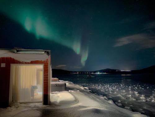 Norwegian Wild 1