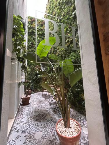 Hotel BH San Francisco Alicante in Alicante