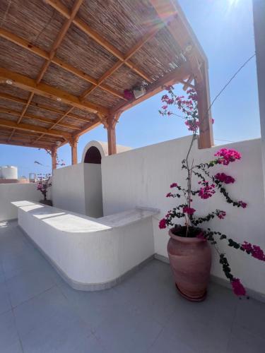 Boho Homes, Hurghada (fotografie 7)
