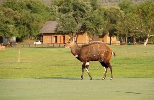 Unit H011 Magalies Park Hartbeespoort