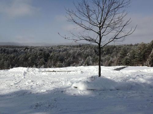 Adams Hill House Retreat - Artist-Architect's Estate, Newfane Vermont