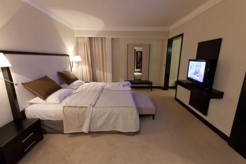 Ledger Plaza Maya Maya莱杰广场玛雅玛雅图片