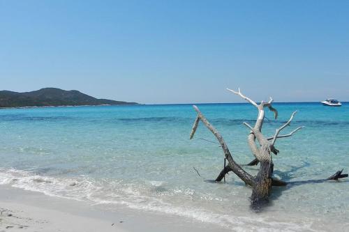 Saint florent /haute corse