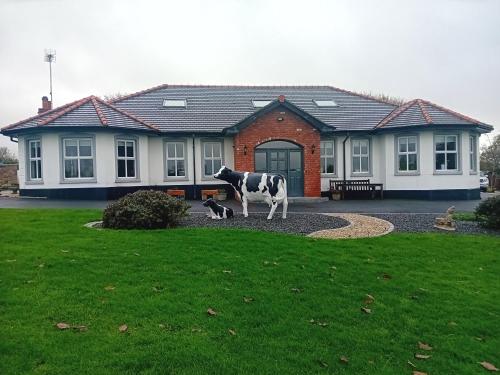 B&B Downpatrick - Creeghduff Lodge - Bed and Breakfast Downpatrick