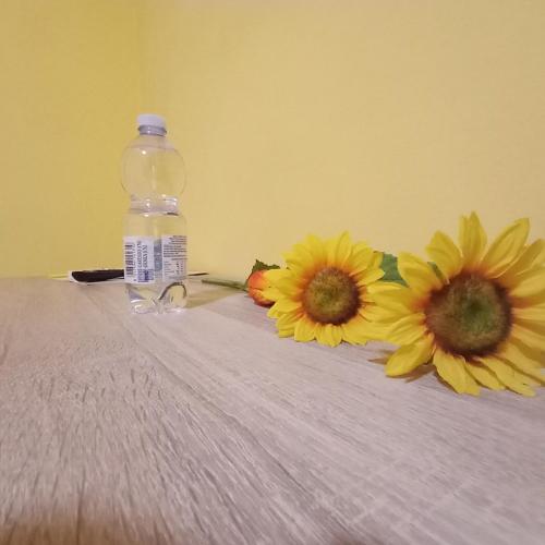 A1 Girasole B&B
