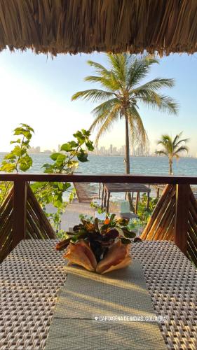 View, Namaste Beach Club & Hotel in Tierra Bomba