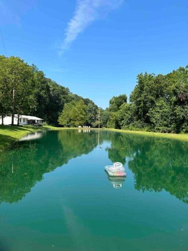 New Waterfront Cabin, 62 Acre, King Beds, Fire pit, Hiking