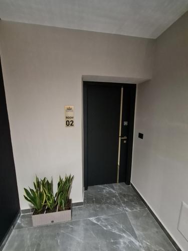 One-Bedroom Apartment image 8