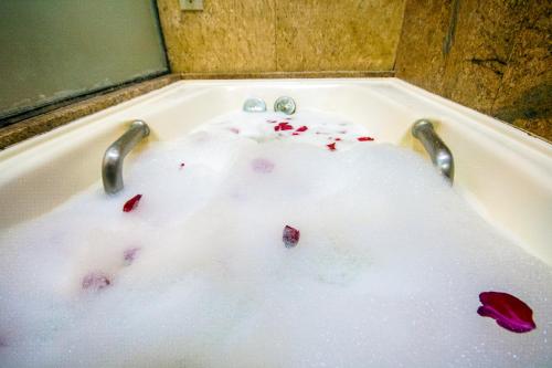 430 Rose Petal Bath Stock Photos, High-Res Pictures, and Images