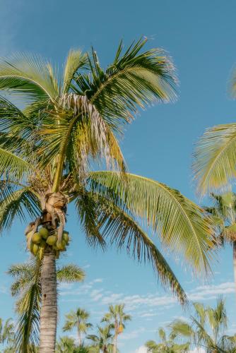 La Poza Boutique Hotel and Spa - Adults 15 plus in Todos Santos, Mexico