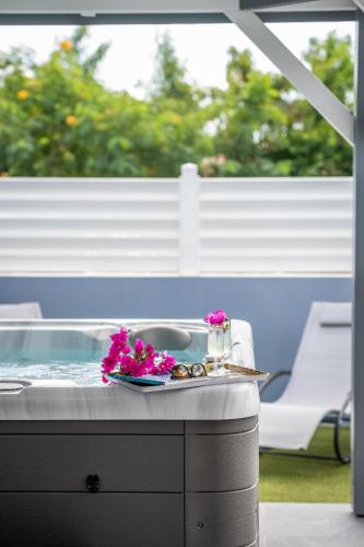 บริการและสิ่งอำนวยความสะดวก, Villa Sunnydays Piscine, Vue Mer & Évasion Tropicale Guadeloupe (Villa Sunnydays Piscine, Vue Mer & Evasion Tropicale Guadeloupe) in บัว โฌลอง