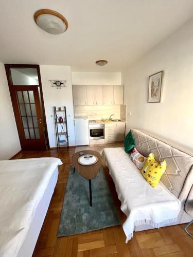 Studio 6, Podgorica