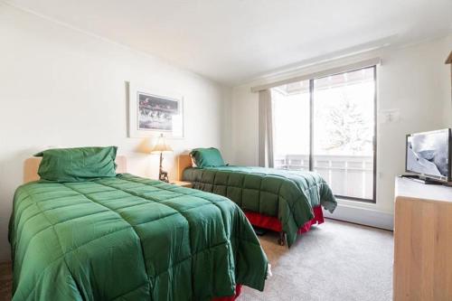 Condos with Ski Locker and Vail Mountain Views, Vail (Foto 8)