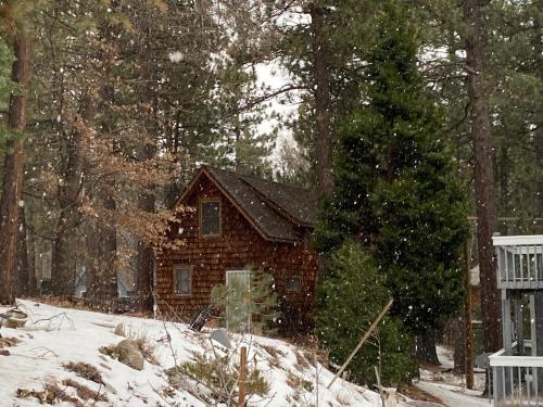 Snow Bunny Cottage, Pets Welcomed!