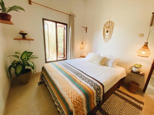 La Vida Bella, Lombok