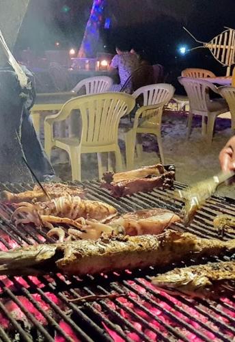 馬拉帕斯卡海灘潛水度假村 Malapascua Beach & Dive Resort