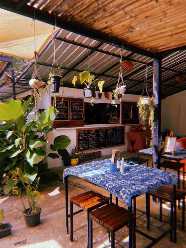 Restaurace, Tropical Hostel in Koh Phayam (Ranong)