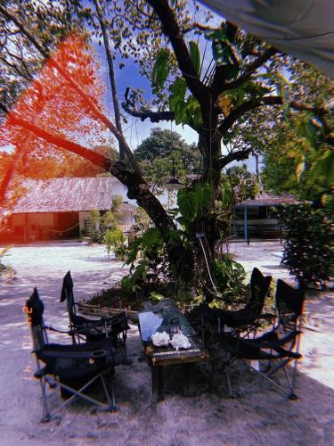 Tropical Hostel