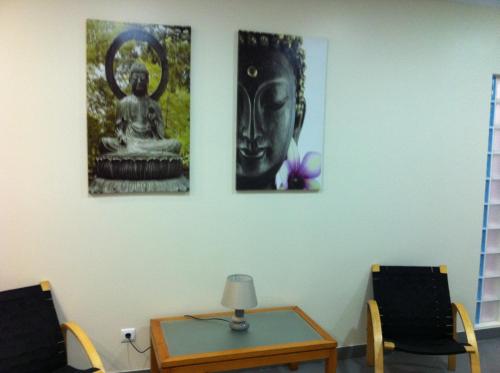 Paraiso Dourado - image 10