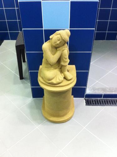 Paraiso Dourado - image 5