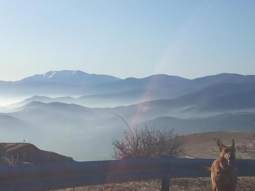 Guesthouse Kontogianni - image 5