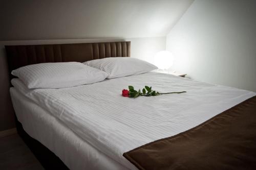 3 bedrooms, 5 beds