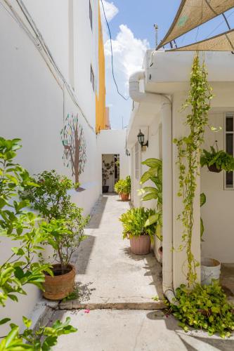 ホテルラスパルマスカンクンセントロ