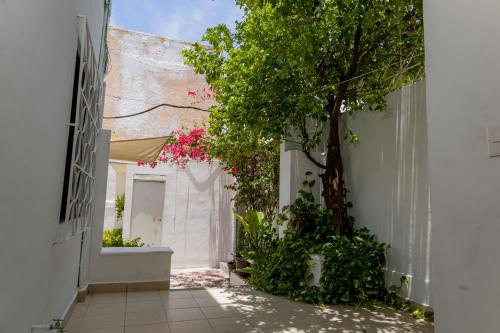 ホテルラスパルマスカンクンセントロ