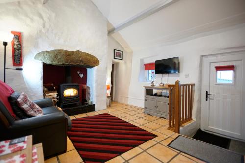 Bwthyn Plas Hafod Cottage in Lanlifni