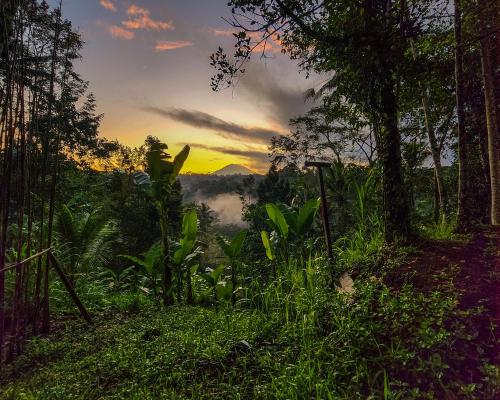 Delta Casa Ubud- Tiny Villas in Bali's Jungles