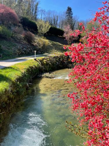 Domaine Du Moulin Vallée Heureuse