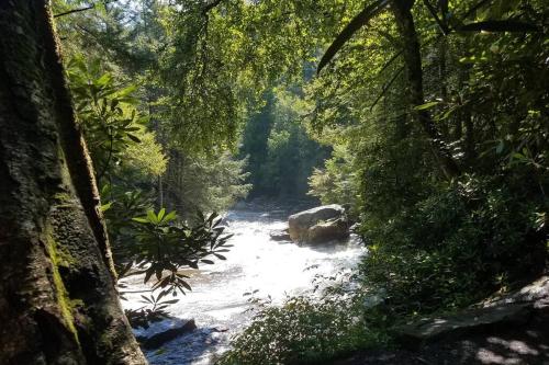 Lanes End near Deep Creek Lake in Swanton, USA