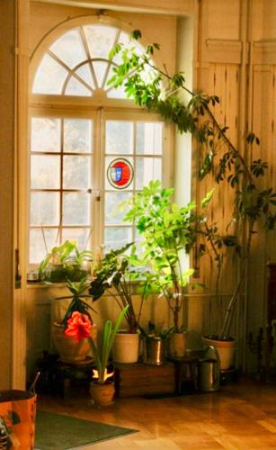 Bed and Breakfast Wildrose - image 7