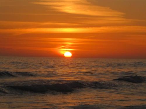 Pelican Isle - Breathtaking View