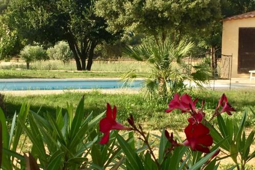 Domaine El Bey - Coin de paradis en Provence - Saint-Cannat