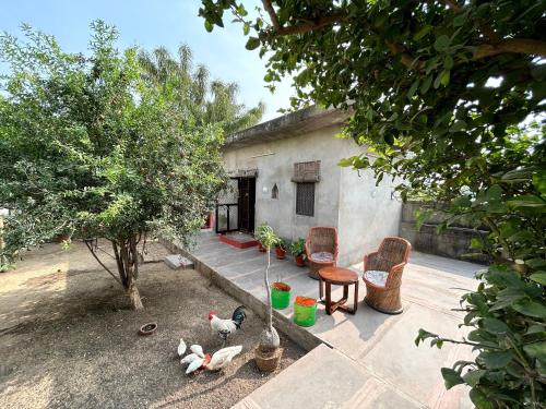 Ashraya home stay in Pushkar valley