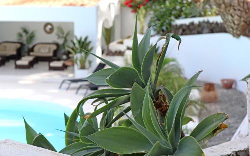 Cortijo San Ignacio Golf - image 4