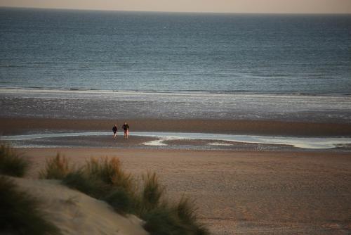 The Gallivant - image 13