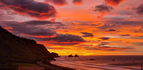 Skats, View With A Room NZ - Boutique Beachfront Accommodation on the Great Coast Road in Barrytown